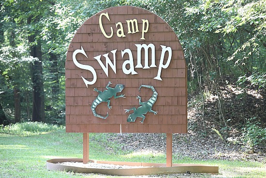 Camp Swamp